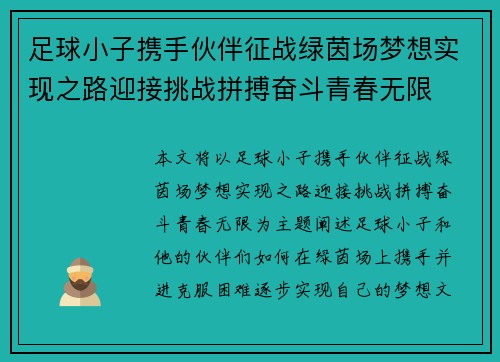 足球小子携手伙伴征战绿茵场梦想实现之路迎接挑战拼搏奋斗青春无限